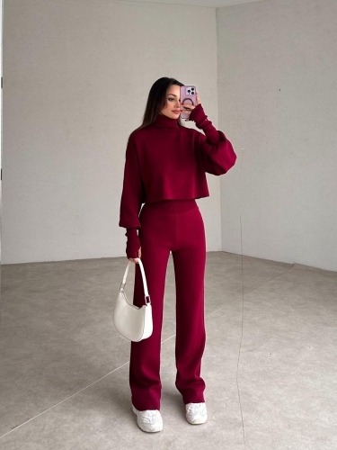 Balıkçı Yaka SARTRE Takım 2978 - Bordo - 2